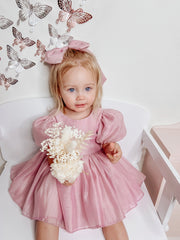 Delia Dusty Pink Baby Dress - A Little Lacey