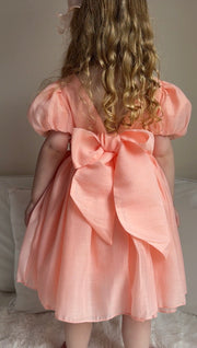 Delia Girls Peach Dress - A Little Lacey