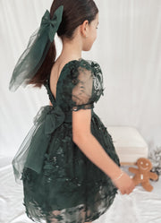 Vienna Girls Green Embroidery Dress - A Little Lacey