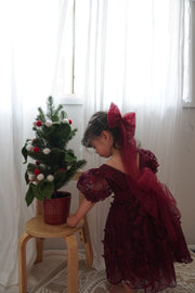 Vienna Girls 3D Embroidery Dress - Burgundy - A Little Lacey