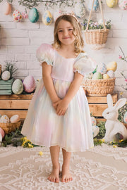 Anastasia Girls Rainbow Organza Dress - A Little Lacey