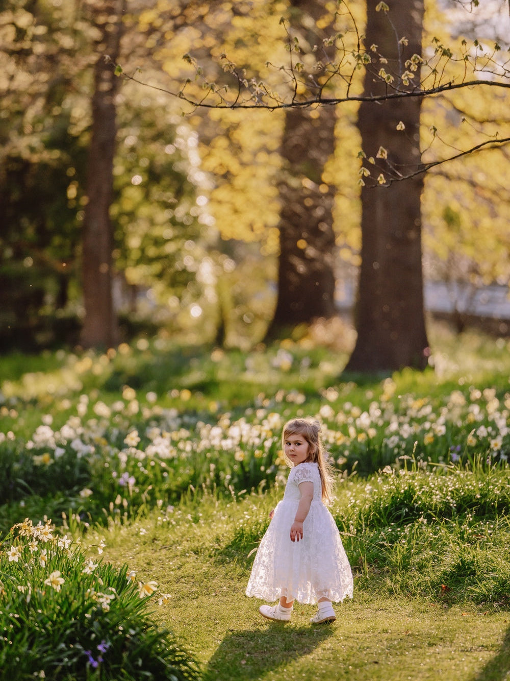Girls off white embroidered special occasion dress