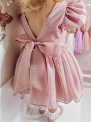 Delia Dusty Pink Baby Dress - A Little Lacey