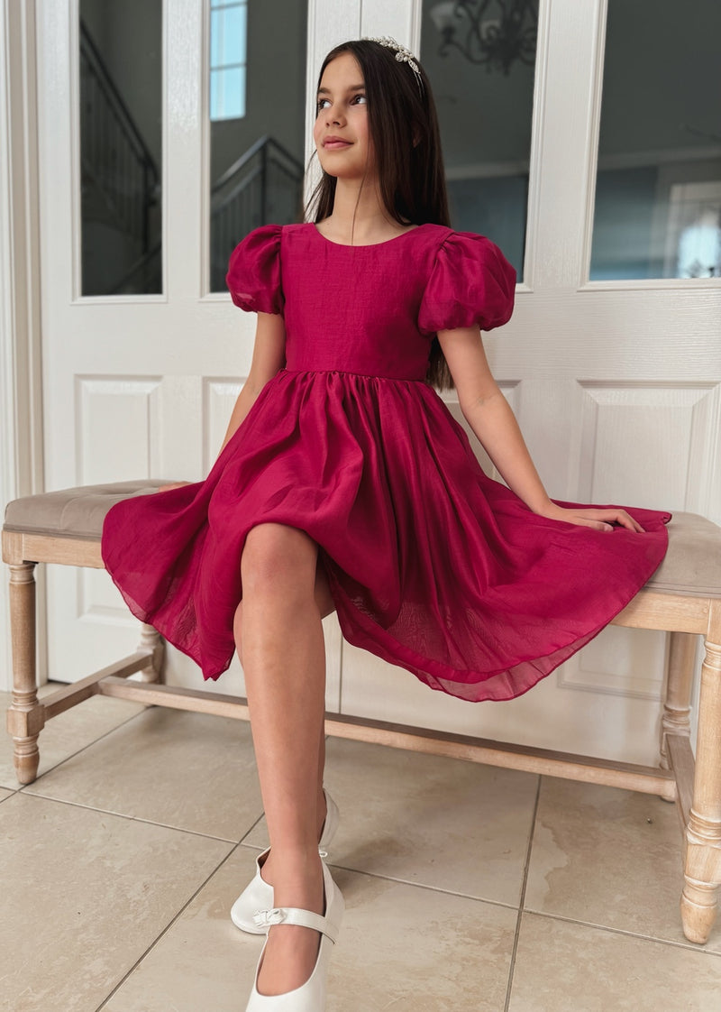 Delia Girls Fuchsia Dress - A Little Lacey