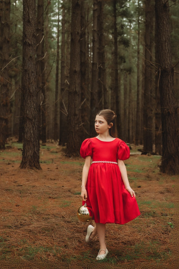 stylish girls xmas dress, suit babies to older girls, luxury Christmas dress in Christmas photoshoot in pine tree forest