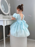 Flowy pale blue flower girl dress with puff sleeves and elegant detailing