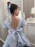 Pale blue flower girls dress with big bow