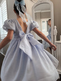Pale blue flower girls dress with big bow V back