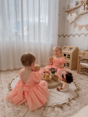 Delia Peach Baby Dress - A Little Lacey