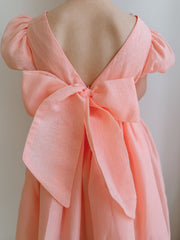 Delia Girls Peach Dress - A Little Lacey