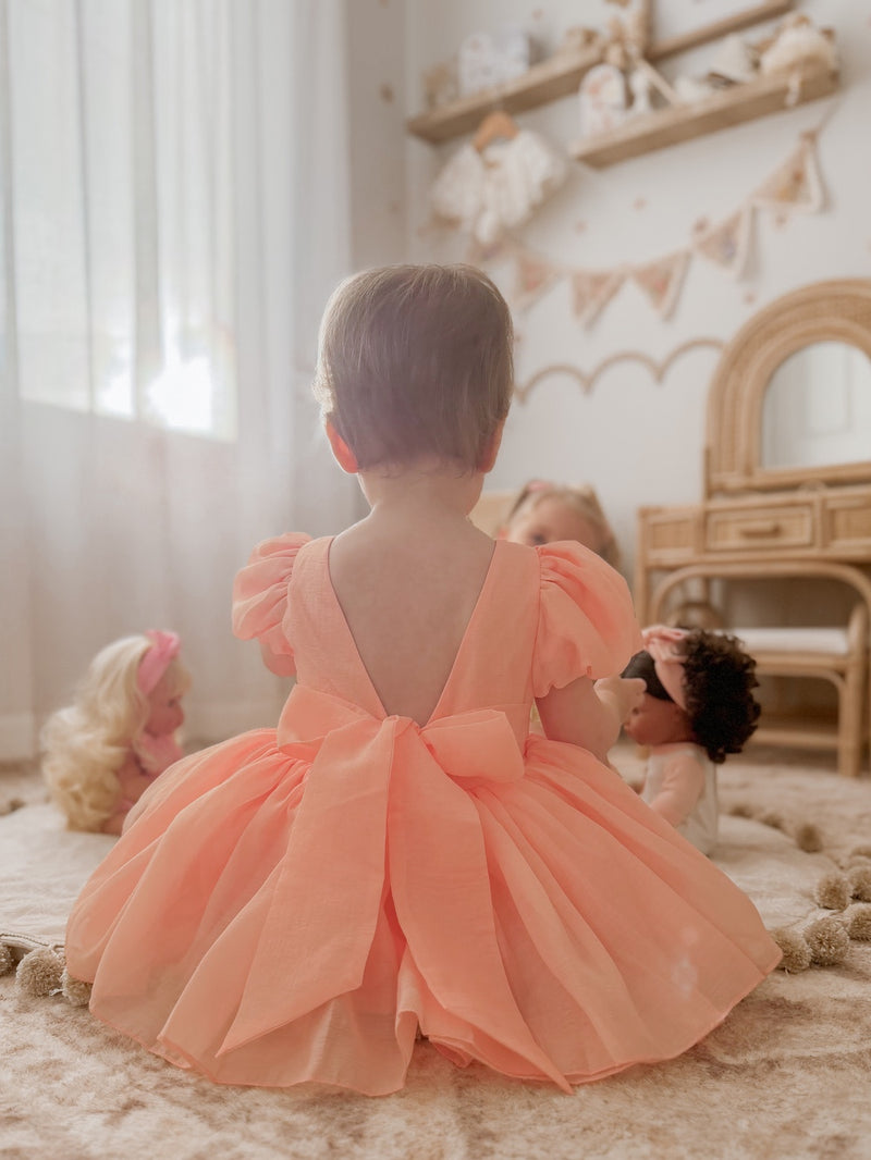 Delia Peach Baby Dress - A Little Lacey