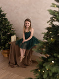 Girls green holiday dress for Christmas family photos
