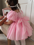 Lucy Puff Sleeve Candy Pink Baby Dress - A Little Lacey · Photo 4 of 13