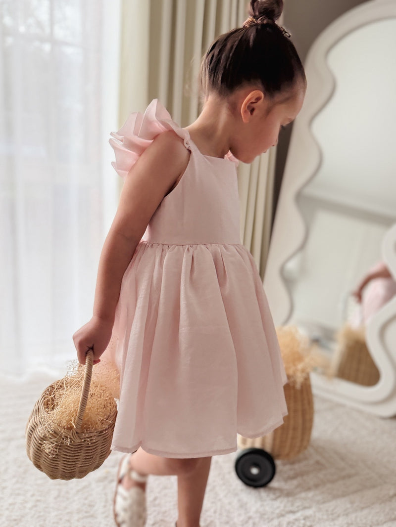 Lottie Girls Light Pink Dress - A Little Lacey