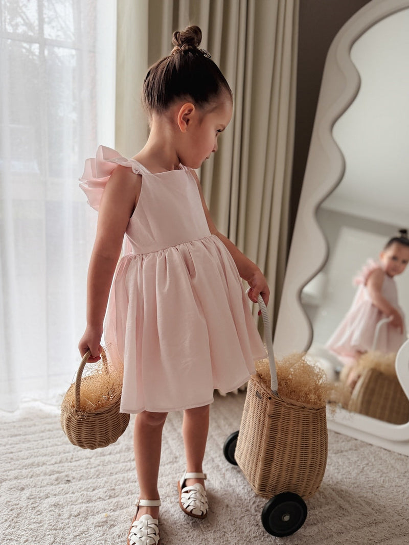 Lottie Girls Light Pink Dress - A Little Lacey