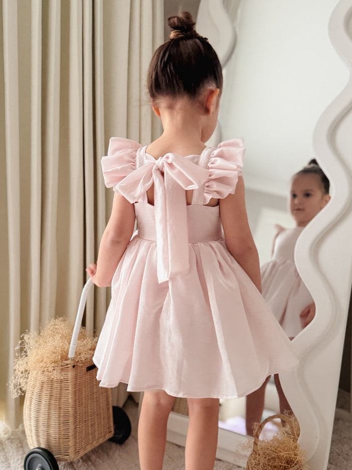Lottie Girls Light Pink Dress - A Little Lacey