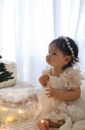 Baby girls embroidered flower girl dress