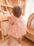 Petal Pink Embroidered Baby Dress - A Little Lacey · Photo 14 of 15