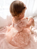 Petal Pink Embroidered Baby Dress - A Little Lacey · Photo 13 of 15