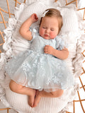 Petal pale dusty blue embroidered baby dress