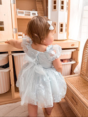 Petal Blue Embroidered Baby Dress - A Little Lacey
