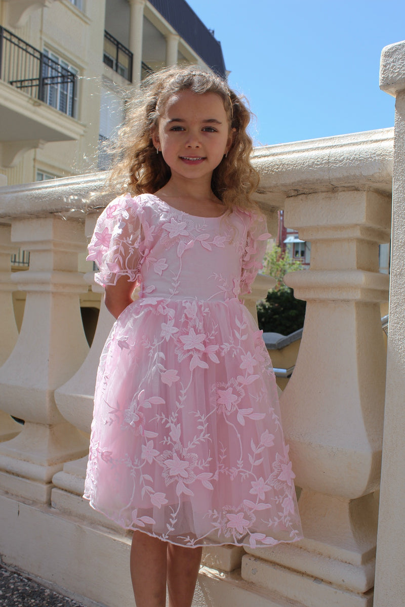Vienna Girls Pink Embroidered Dress - A Little Lacey