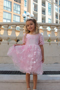 Vienna Girls Pink Embroidered Dress - A Little Lacey · Photo 1 of 19
