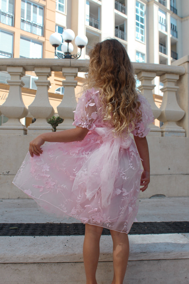 Vienna Girls Pink Embroidered Dress - A Little Lacey