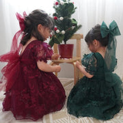 Vienna Girls Green Embroidery Dress - A Little Lacey