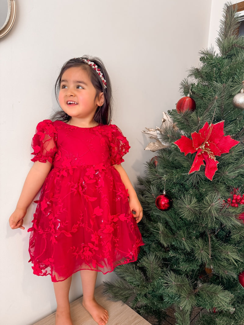 Vienna Girls Christmas Embroidery Dress - Red - A Little Lacey