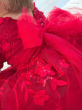 Vienna Girls Red Embroidery Dress SIZE 1 - A Little Lacey · Photo 24 of 26