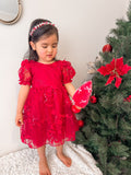 Vienna Girls Red Embroidery Dress SIZE 1 - A Little Lacey · Photo 20 of 26