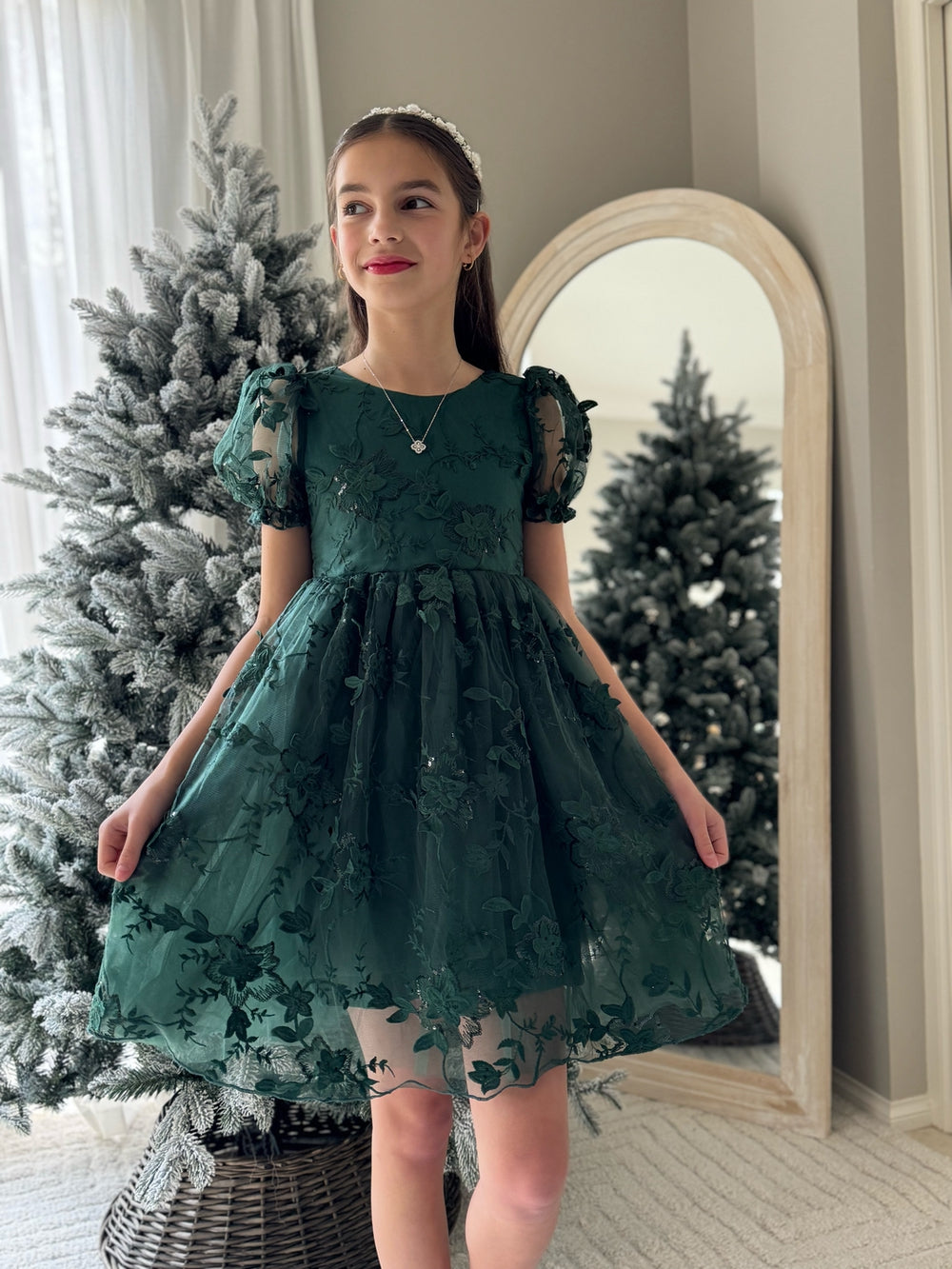 Vienna Girls Green Embroidery Dress - Flower Girl DressesGirl wearing green embroidered Christmas dress with puff sleeves