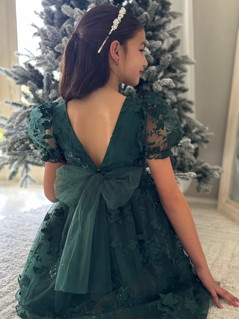 Vienna Girls Green Embroidery Dress - A Little Lacey
