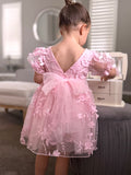 Vienna Girls Pink Embroidered Dress - A Little Lacey · Photo 8 of 19