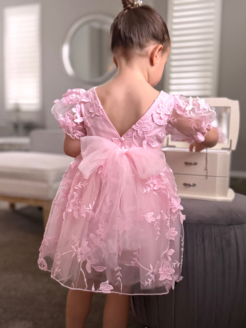 Vienna Girls Pink Embroidered Dress - A Little Lacey