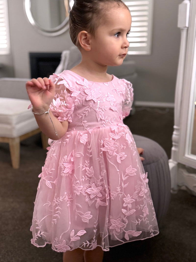 Vienna Girls Pink Embroidered Dress - A Little Lacey