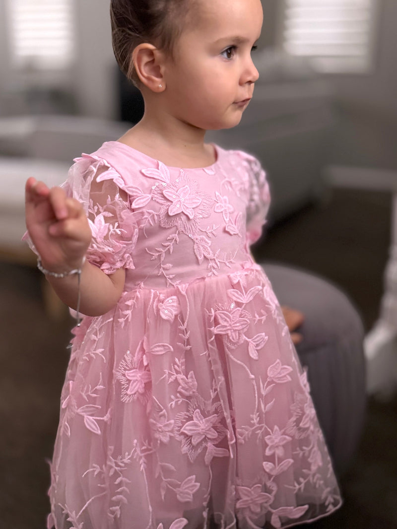 Vienna Girls Pink Embroidered Dress - A Little Lacey