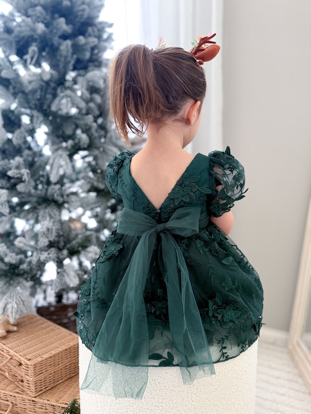 Vienna Girls Green Embroidery Dress
