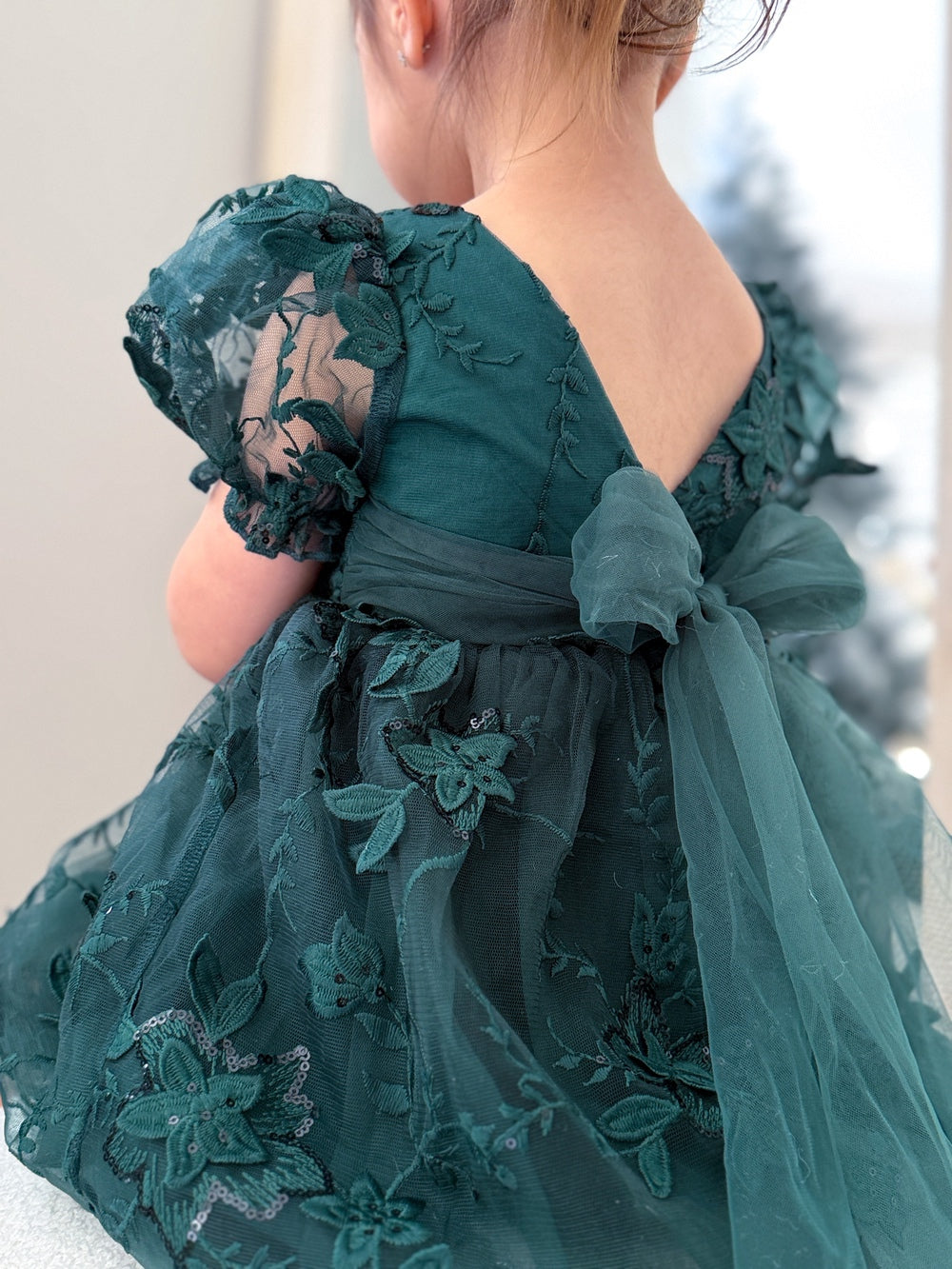 Vienna Girls Green Embroidery Dress