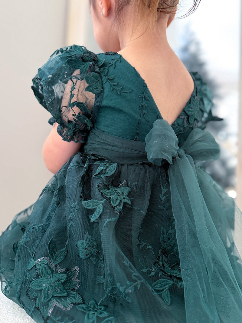 Vienna Girls Green Embroidery Dress - A Little Lacey