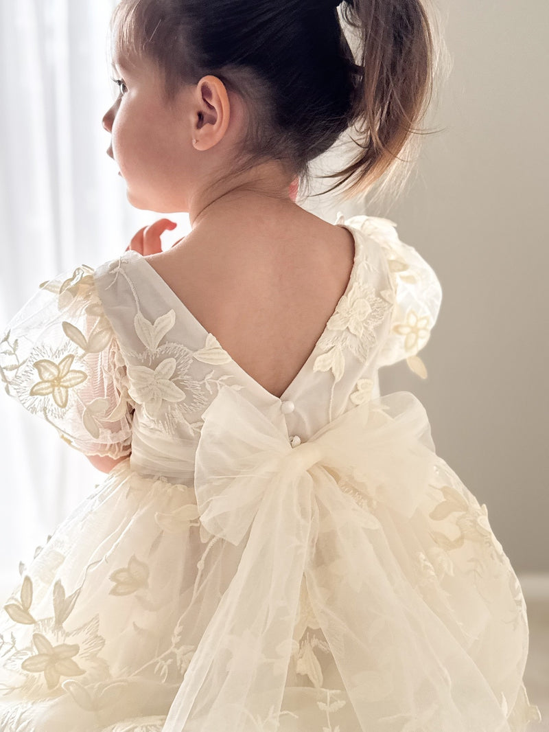Vienna Girls Ivory Embroidered Dress - A Little Lacey
