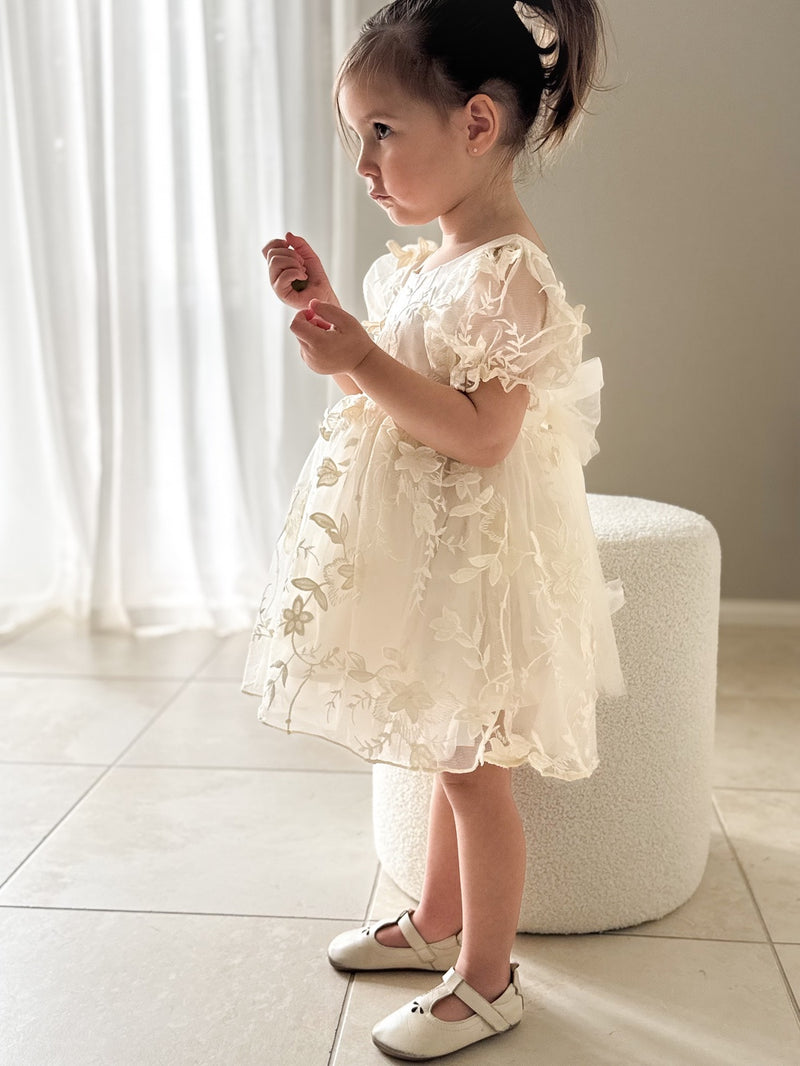Vienna Girls Ivory Embroidered Dress - A Little Lacey