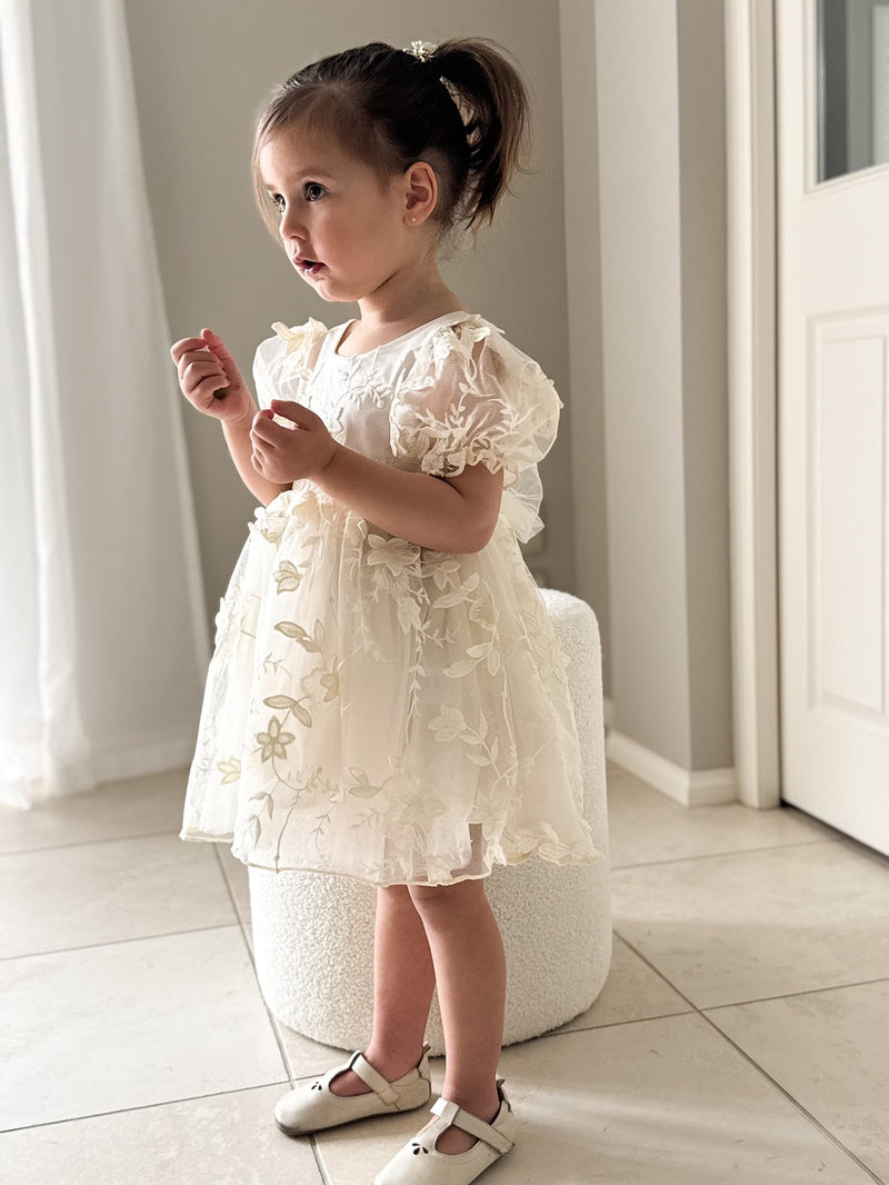 Vienna Girls Ivory Embroidered Dress - A Little Lacey