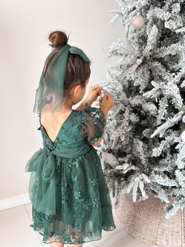 Vienna Girls Green Embroidery Dress - A Little Lacey