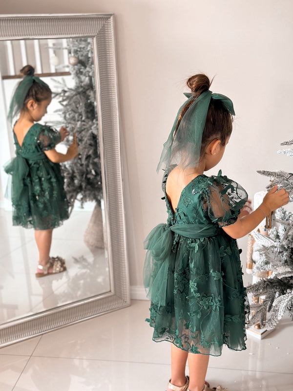 Vienna Girls Green Embroidery Dress - A Little Lacey