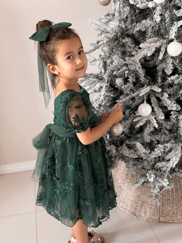 Vienna Girls Green Embroidery Dress