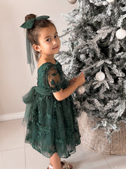 Vienna Girls Green Embroidery Dress - A Little Lacey