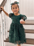 Vienna Girls Green Embroidery Dress - A Little Lacey · Photo 7 of 22
