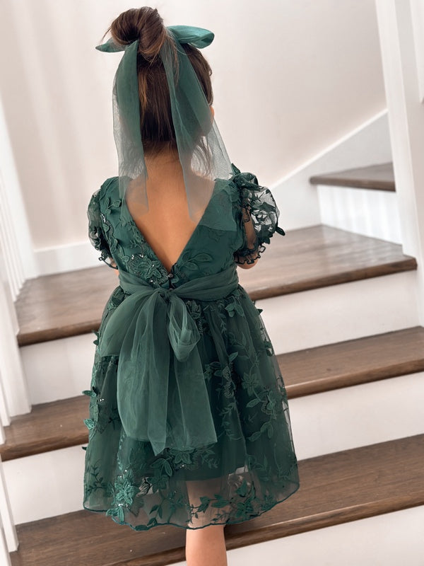 Vienna Girls Green Embroidery Dress - A Little Lacey